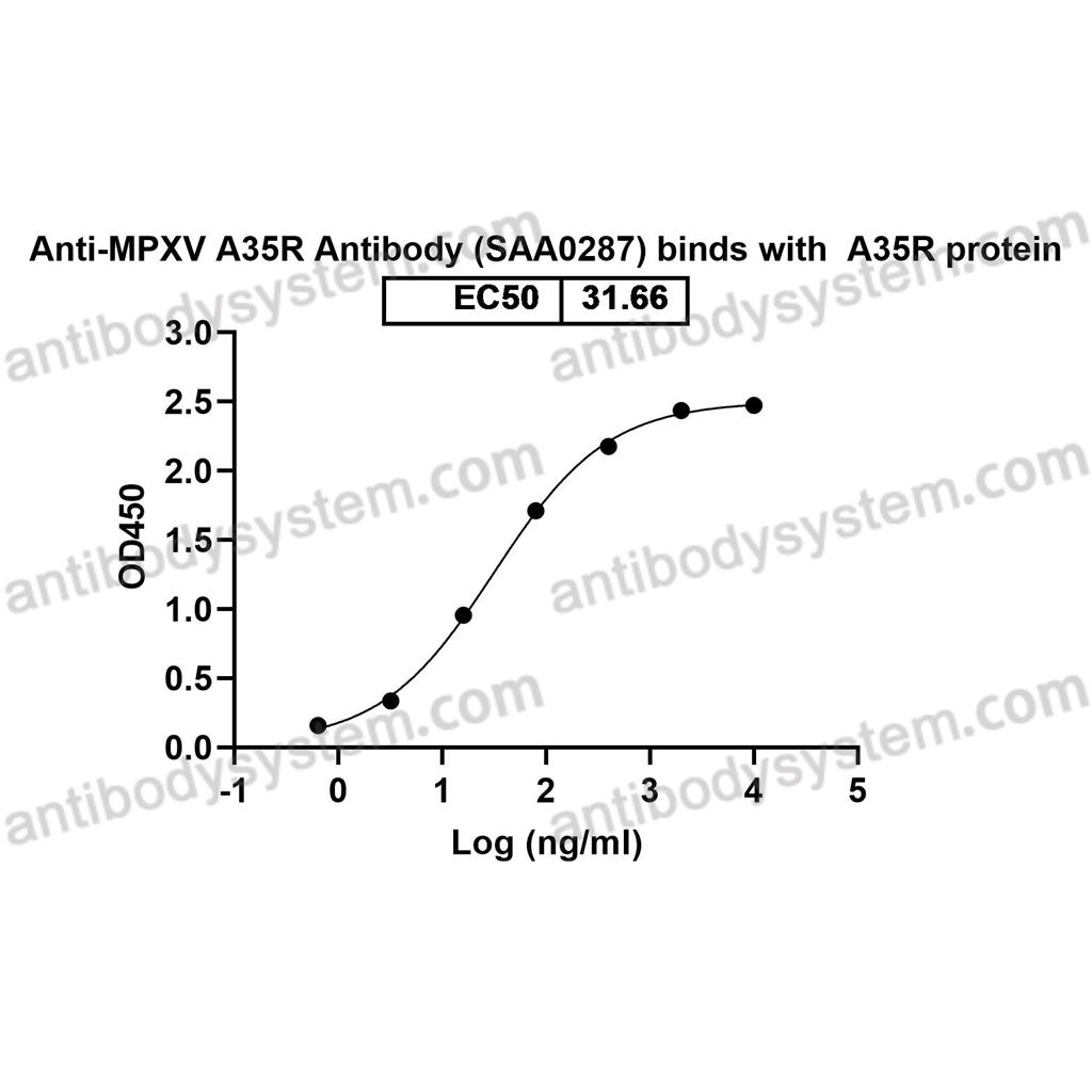 抗体：Monkeypox virus/MPXV A35R Antibody (SAA0287) RVV13101