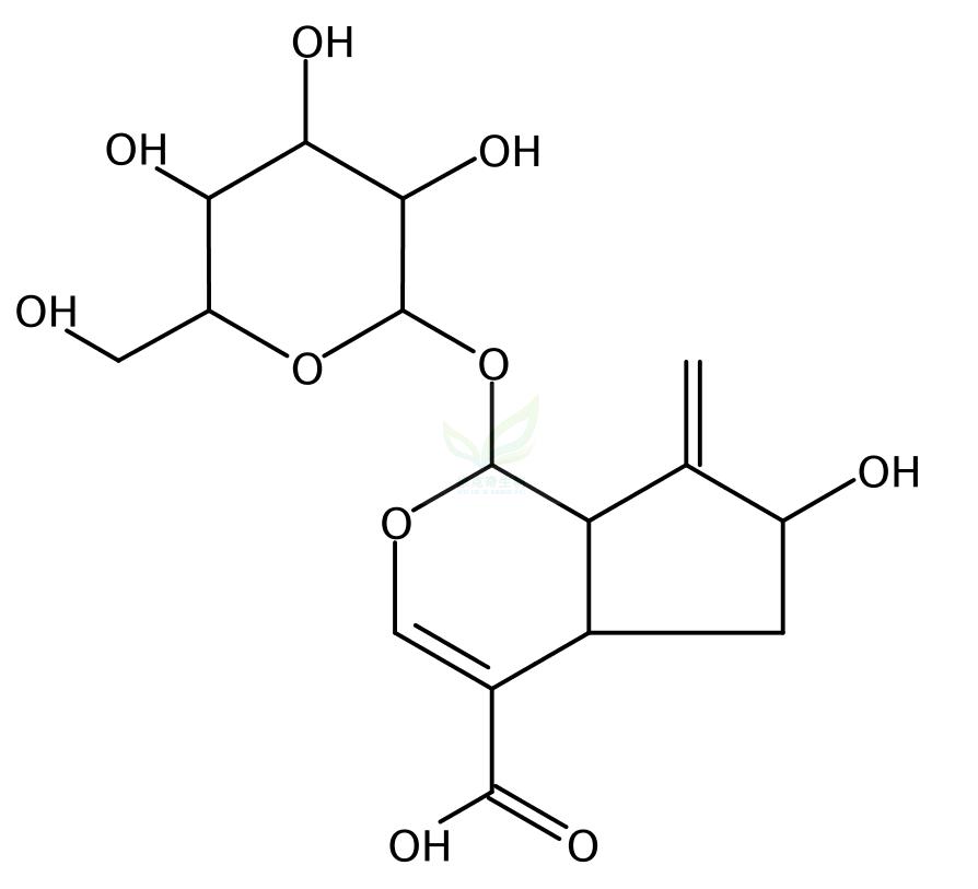 栀子新苷  Gardoside  54835-76-6