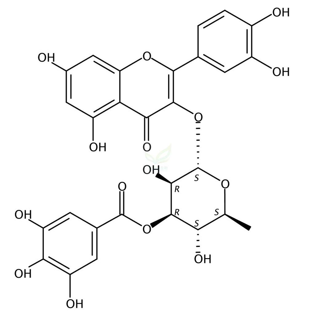 3′′-O-没食子酰基槲皮苷  503446-90-0