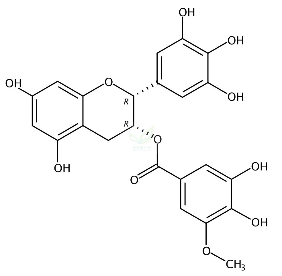 3′′-O-甲基表没食子儿茶素没食子酸酯