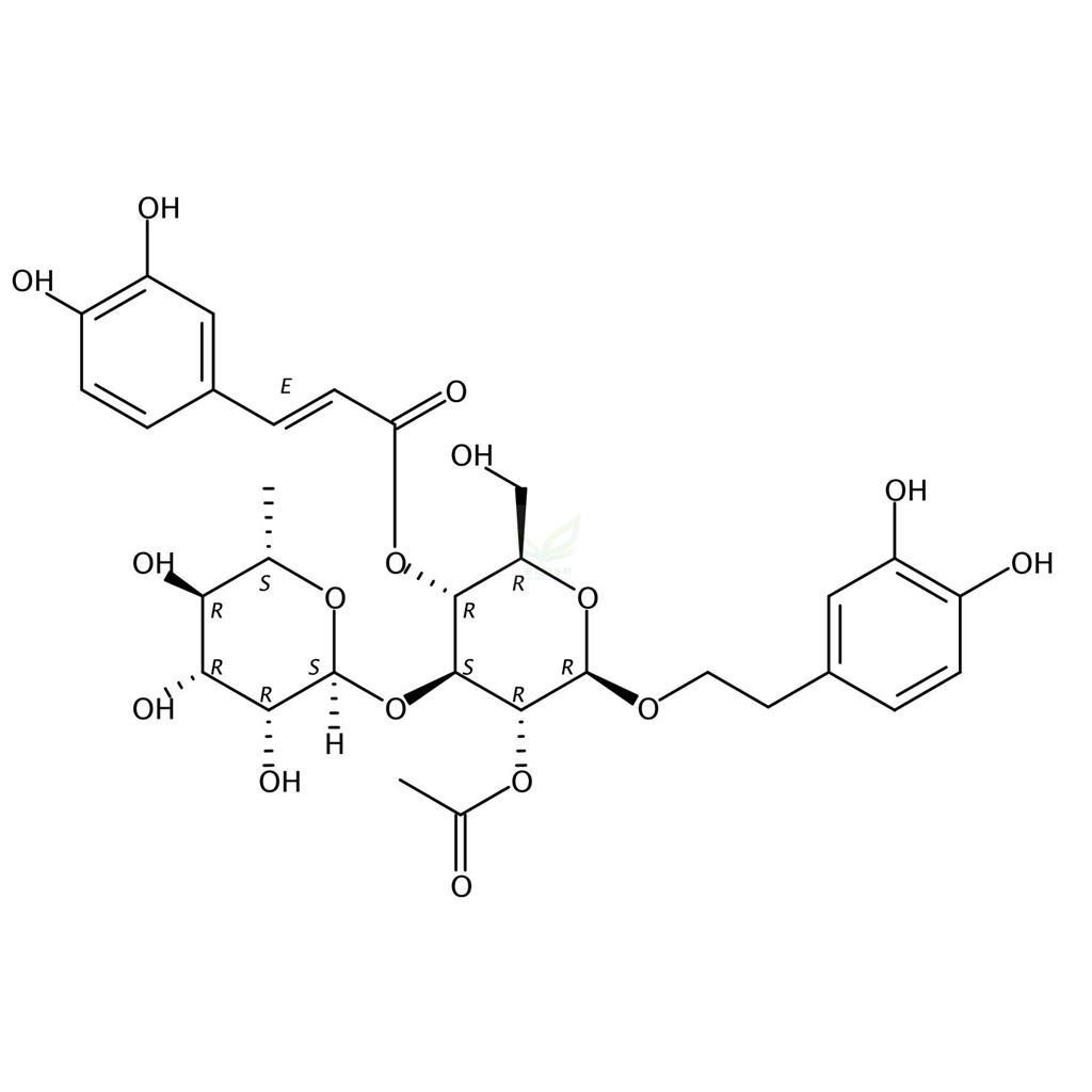 2-乙酰基毛蕊花糖苷  2-Acetylacteoside