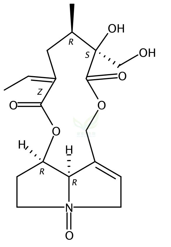 菘蓝千里光碱    Isatidine  15503-86-3