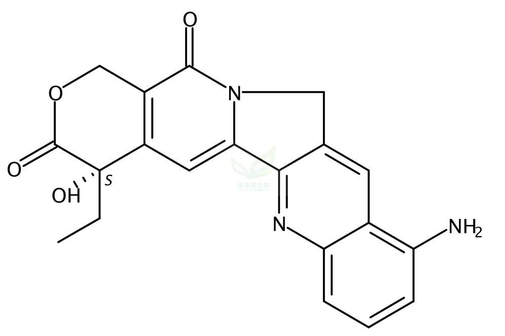 9-氨基喜树碱 9-Aminocamptothecin 