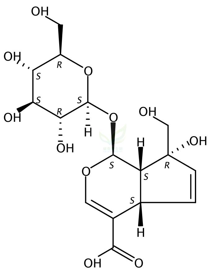 水晶兰苷  Monotropein  5945-50-6