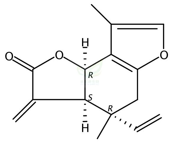 异乌药内酯 Isolinderalactone  957-66-4