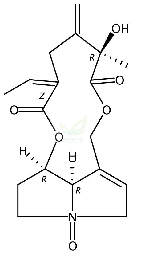 千里光非灵N-氧化物 Seneciphylline N-oxide