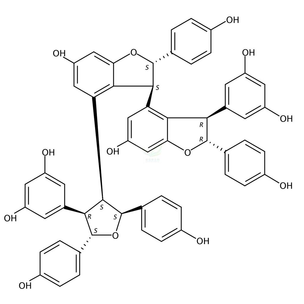 蒿草酚A   Kobophenol A  124027-58-3