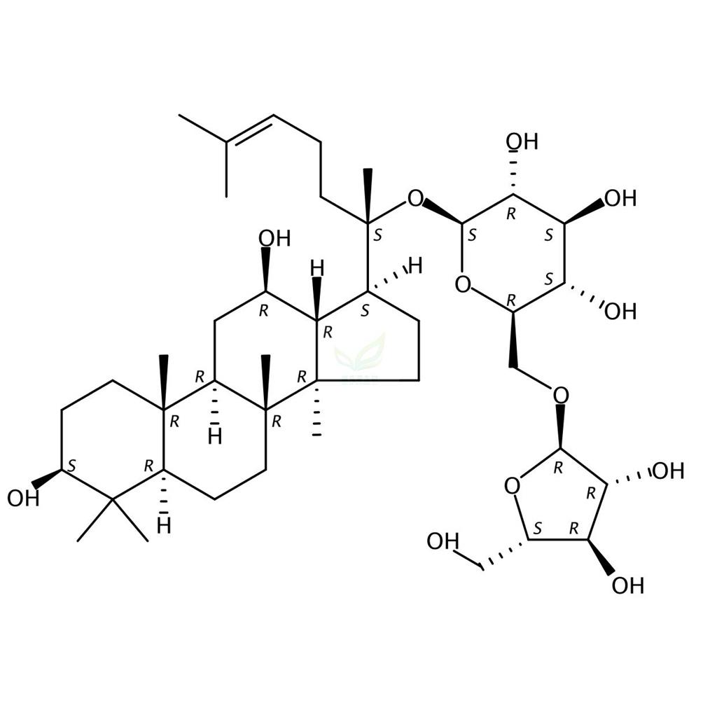 人参皂苷MC Ginsenoside MC 