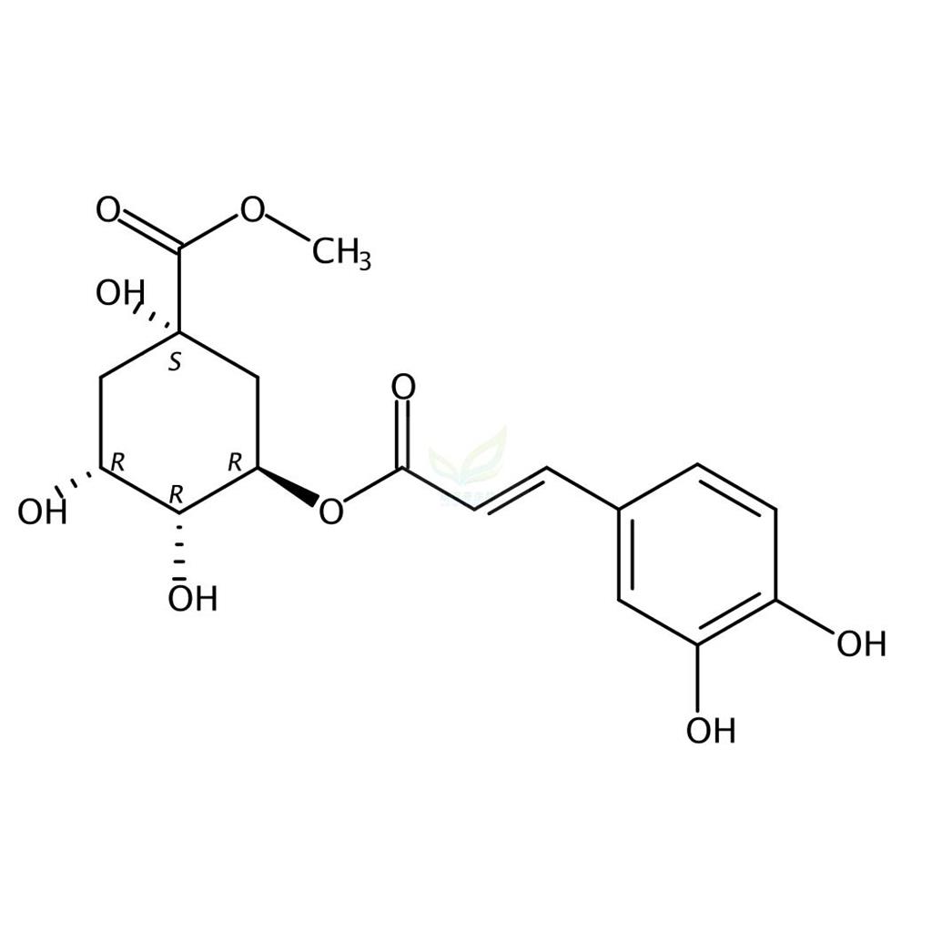 绿原酸甲酯    Methyl chlorogenate 