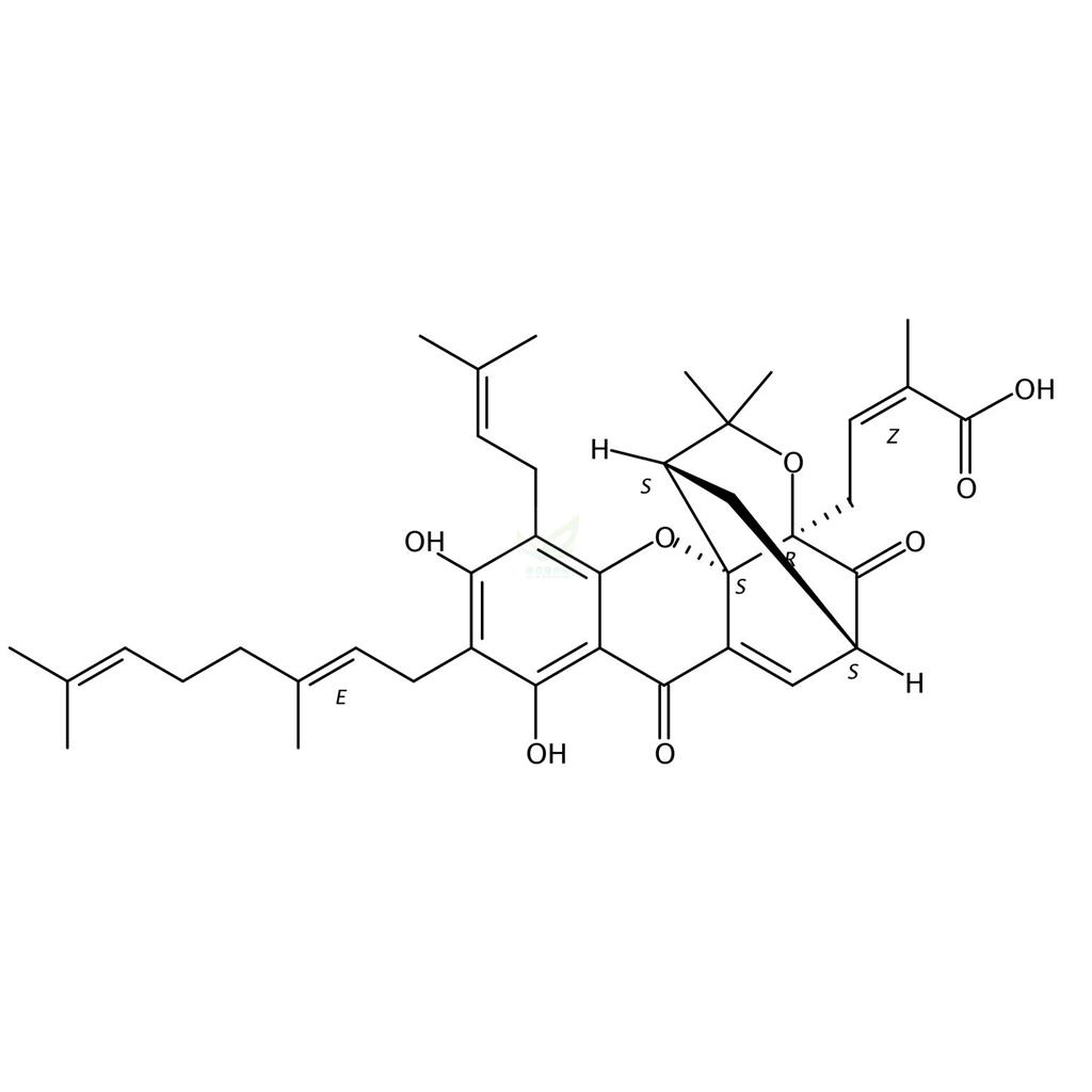 新藤黄酸  Gambogenic acid 173932-75-7