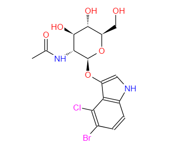 5-溴-4-氯-3-吲哚基-N-乙酰-β-D-氨基葡萄糖苷