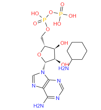 腺苷-5′-二磷酸双环己铵盐