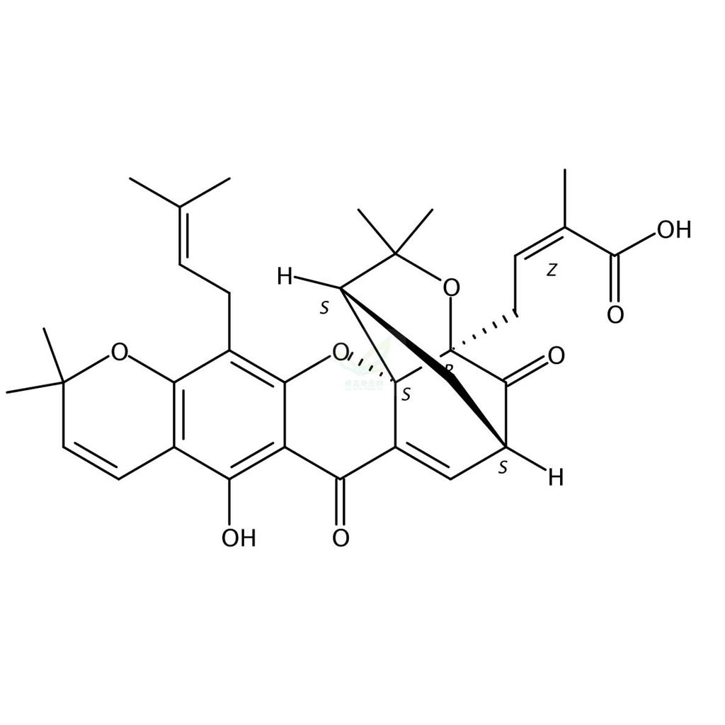 藤黄酸B  Morellic acid 5304-71-2