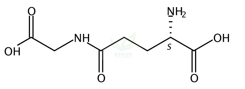 γ-L-Glutamylglycine  1948-29-4