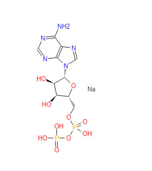 ADP,5'二磷酸腺苷钠盐 20398-34-9