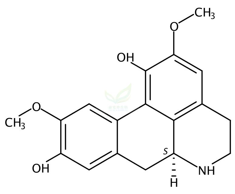 去甲异波尔定  Norisoboldine 