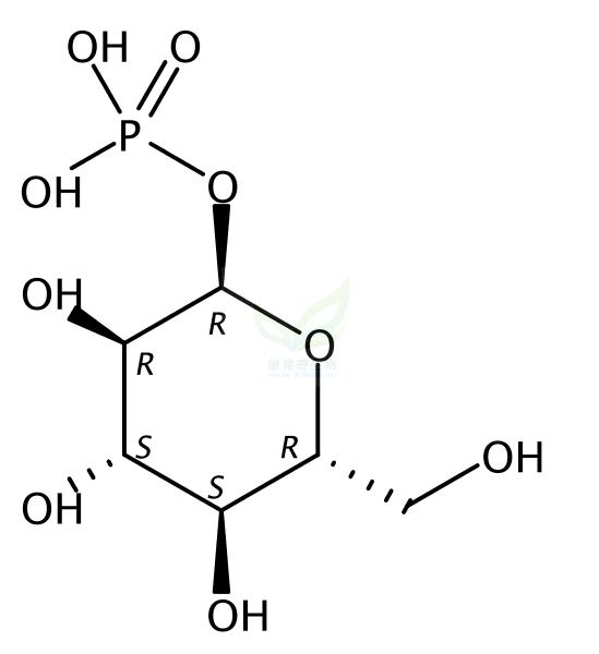 葡萄糖-1-磷酸  Cori ester