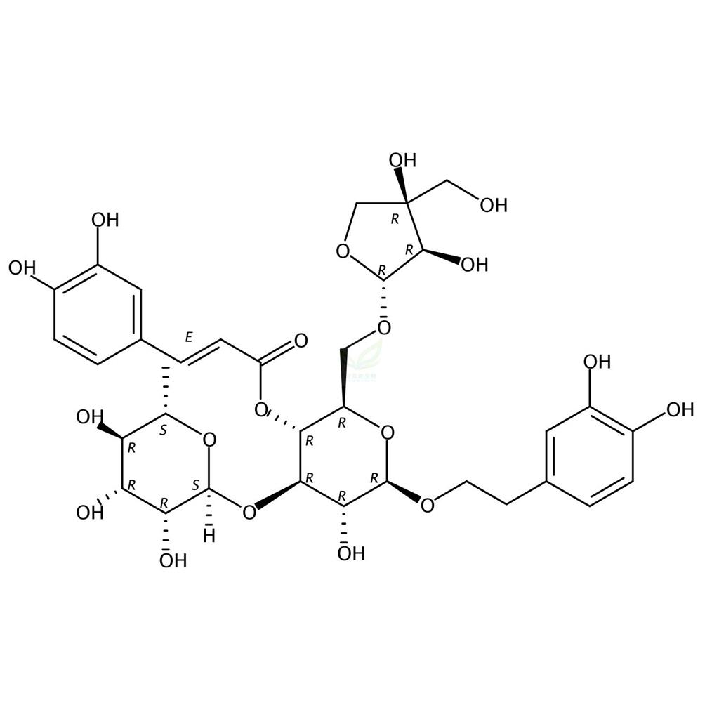 连翘酯苷B  Forsythoside B 