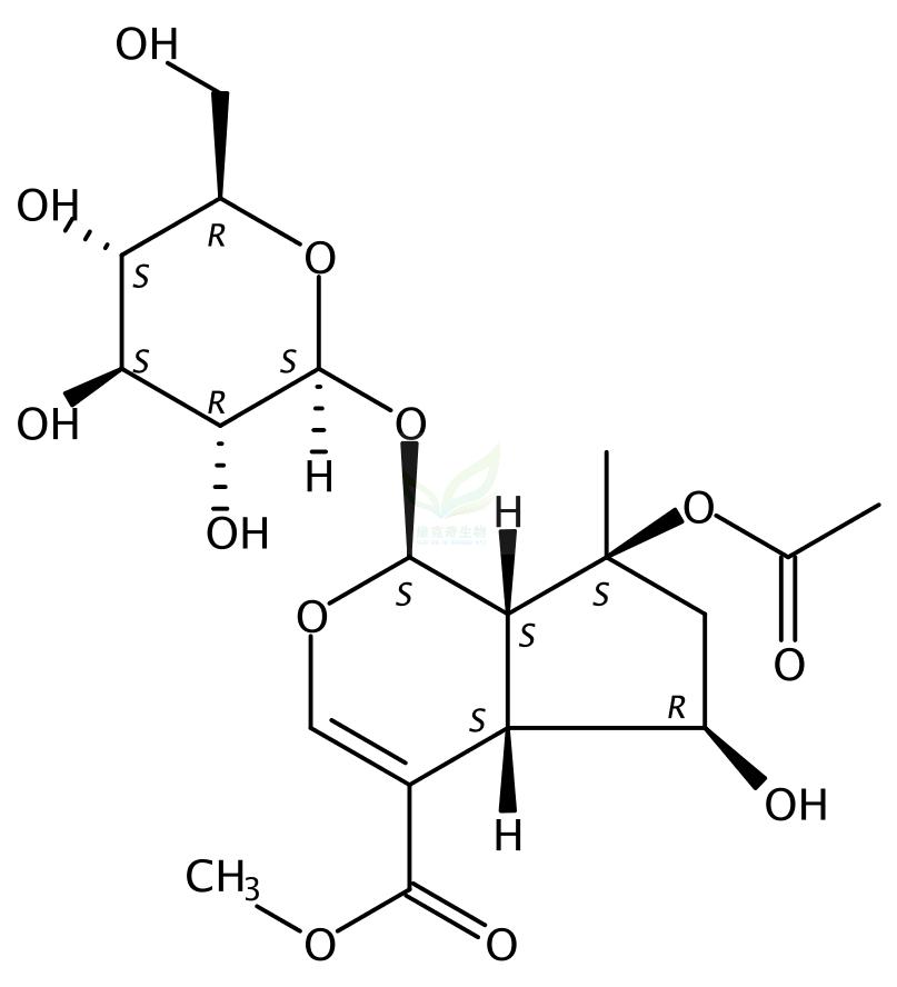 8-O-乙酰山栀苷甲酯  57420-46-9 