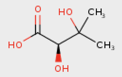 R-2,3-二羟基异戊酸 19451-56-0