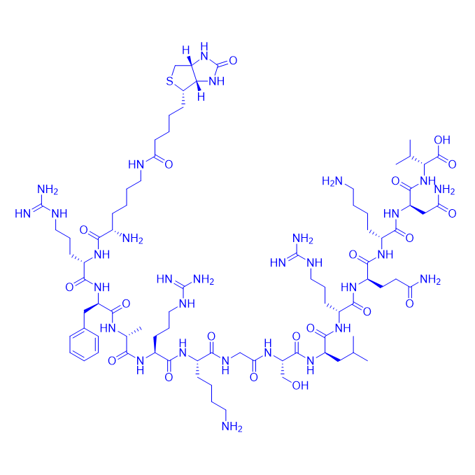 Bio-蛋白激酶C(PKC) 底物多肽/177966-62-0/[Ser25]-PKC (19-31), biotinylated