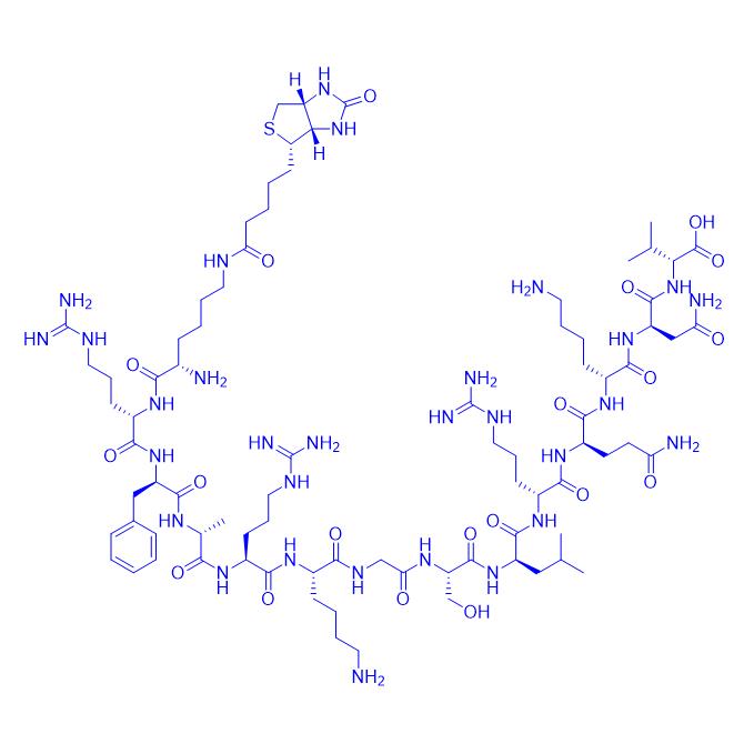 [Ser25]-PKC (19-31), biotinylated  177966-62-0.png