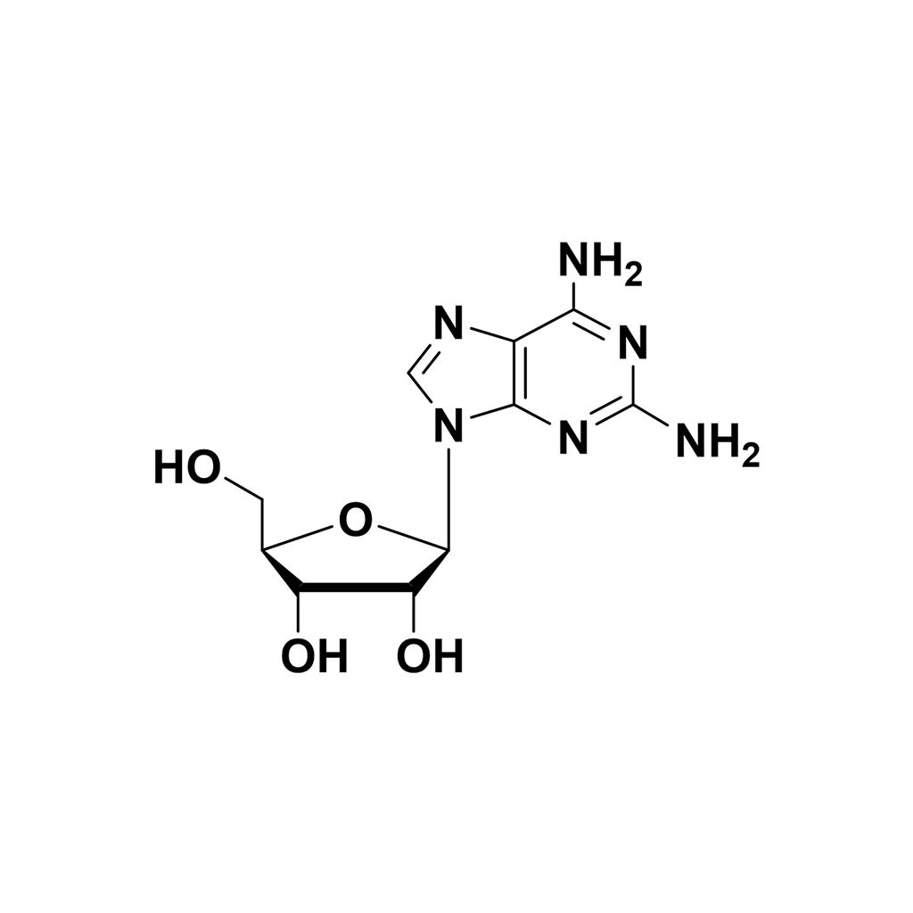 2-NH2-rA