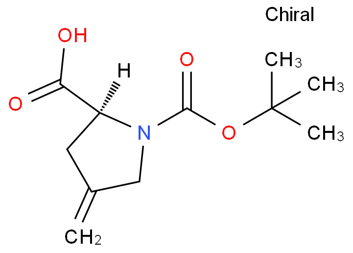 N-Boc-4-亚甲基-L-脯氨酸  84348-38-9