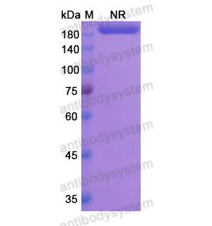 Research Grade Lutikizumab