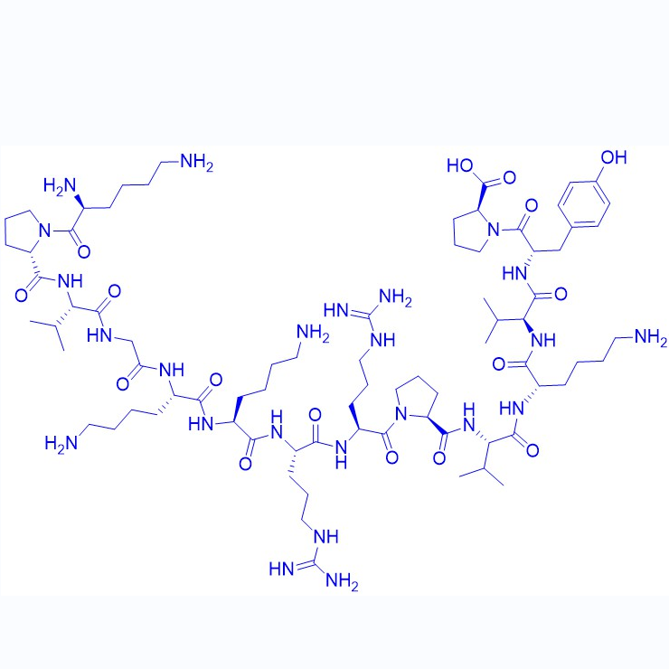 促肾上腺皮质激素肽11-21/4237-93-8/ACTH (11-24)