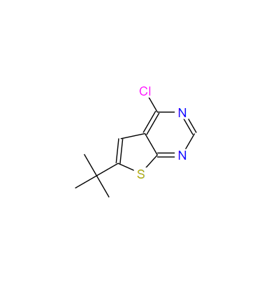 6-叔丁基-4-氯-噻吩[2,3-D]嘧啶 439692-55-4