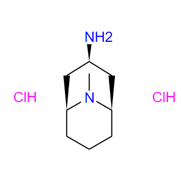 内向-9-甲基-9-氮杂双环[3,3,1]壬烷-3-胺盐酸盐