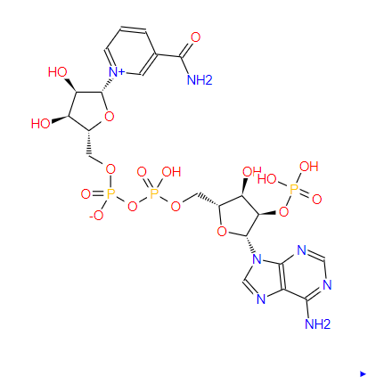 还原型辅酶II，BETA-NADPH TETRASODI，2646-71-1