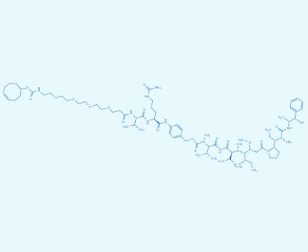 TCO-PEG4-VC-PAB-MMAE