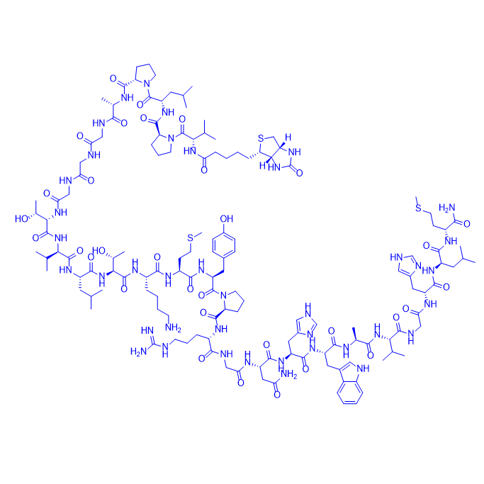 Biotin-胃泌素释放肽/Biotin-Gastrin Releasing Peptide, human