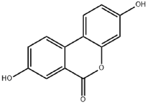 尿石素A