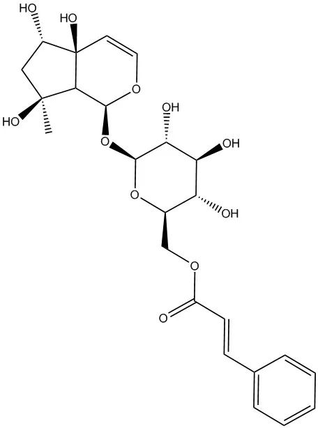 6'-O-肉桂酰基哈巴苷|1245572-24-0