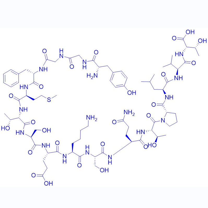 β-内啡肽/59004-96-5/内啡肽α-Endorphin