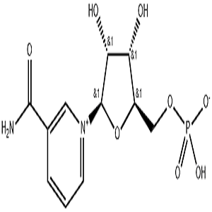 Β-烟酰胺单核苷酸