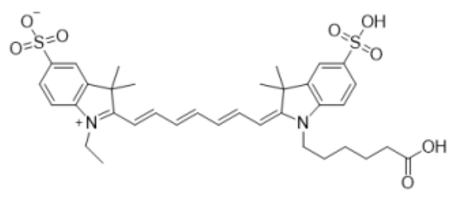 磺基-CY7 羧酸