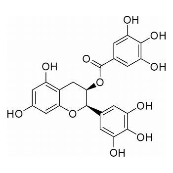 表没食子儿茶素没食子酸酯 egcg HPLC98% 25KG/桶