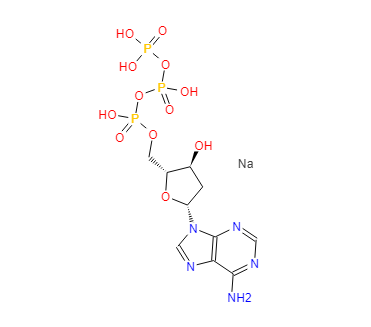 2'-脱氧腺苷-5'-三磷酸（dATP.Na3）