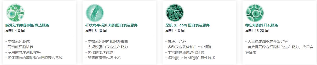 重组蛋白表达服务类型.png