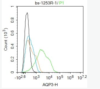 AQP3  水通道蛋白-3抗体