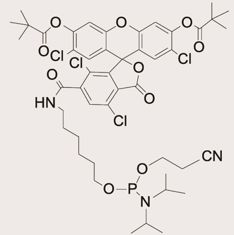 6-TET Phosphoramidite