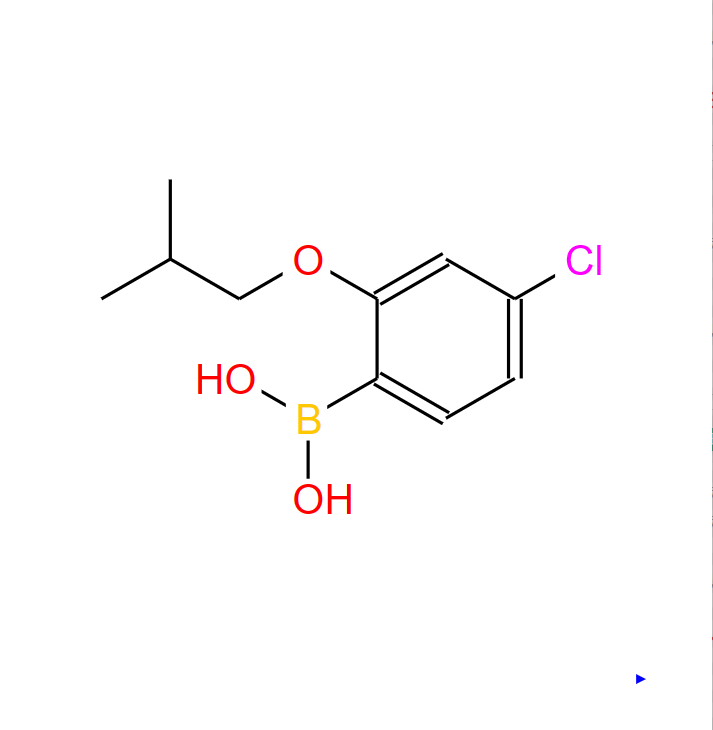 4-氯-2-异丁氧基苯硼酸