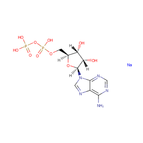 ADP,5'二磷酸腺苷钠盐