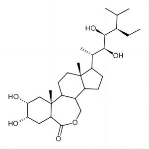 28-表高芸苔素内酯;表高油菜素内酯