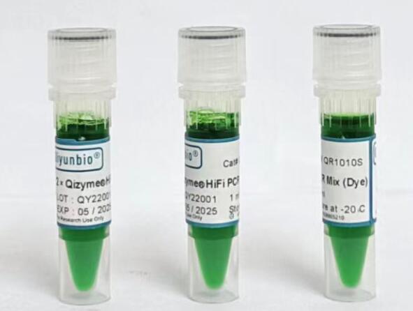 2 × Qizyme? 高保真 PCR 预混液 (染料)