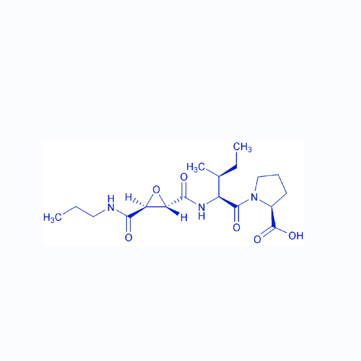 L-反式-环氧丁二酰基(丙胺)-IP/134448-10-5/CA-074